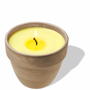 3520 Terrakotta Topf Inhalt Rapswachs <br> mit Citronella Natura Duft